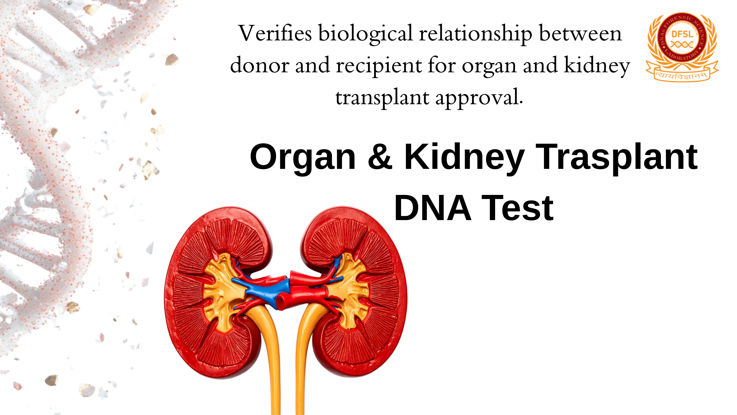 Organ & Kidney Transplant DNA Test